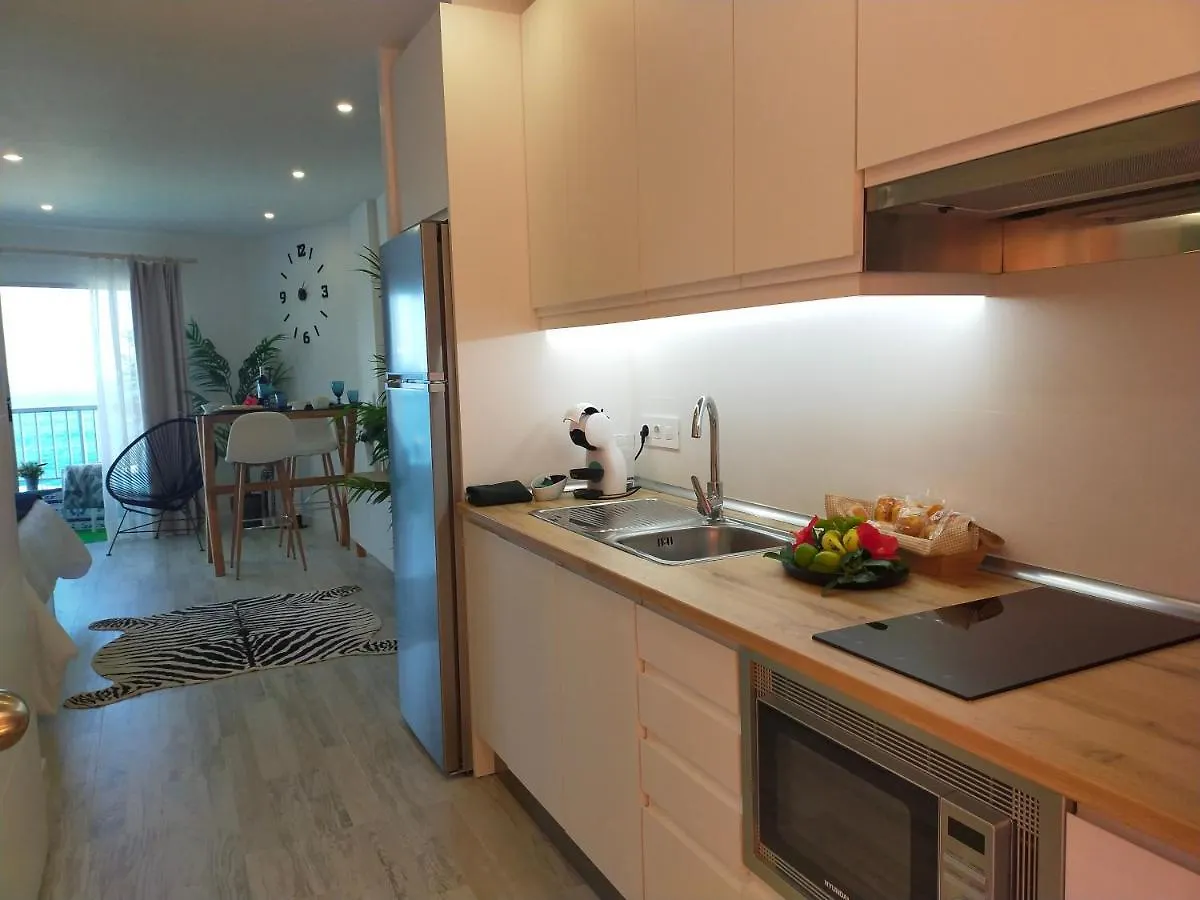 Playa Monis 2 Apartment Icod De Los Vinos