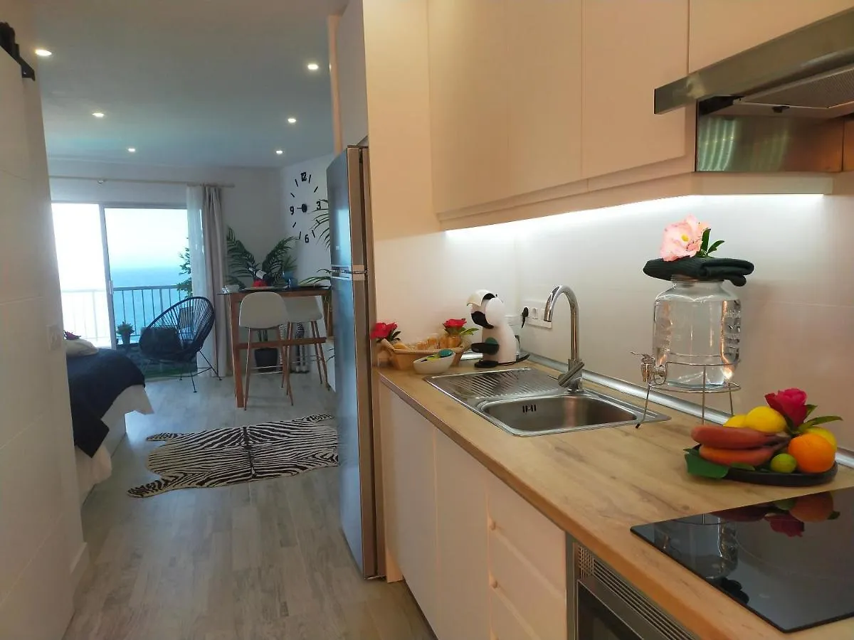 Playa Monis 2 Apartment Icod De Los Vinos